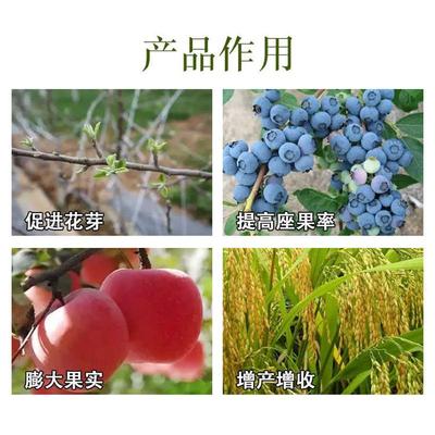 磷酸二氢钾芸苔素内酯脂14一羟基芸苔素甾醇小麦果树蔬菜叶面肥