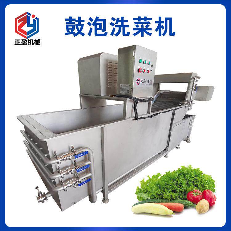 800kg/H多功能不锈钢鼓泡洗菜机气泡果蔬清洗机去农残清洗设备