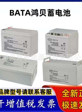 BATA鸿贝蓄电池FM/BB12100T 12v7a18a24a33a38a55a65a120a200aUPS