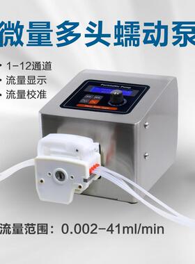 BT100-1L流量型蠕动泵实验室高精度制药精细化工污水处理环保泵