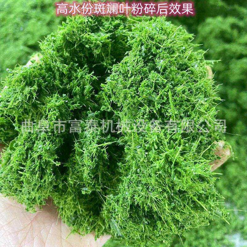 烂菜叶瓜果蔬菜粉碎机 湿粘酒糟蛋白桑粉碎生产线 发酵料破碎机