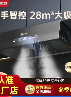 扬子抽油烟机家用厨房静音大吸力排油烟小型尺寸中式油烟机出租房