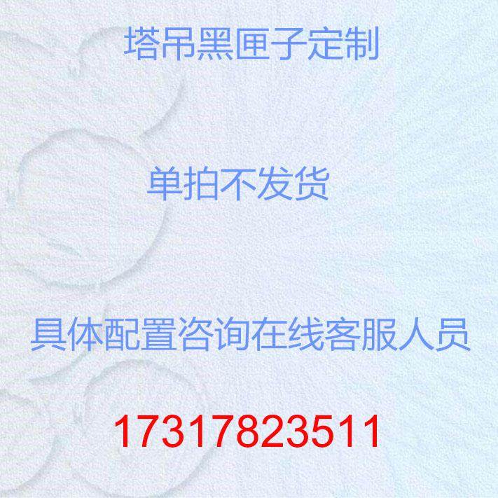正品机塔吊黑匣子吊可视化影片塔降机安全监测升防碰撞系钩统对接