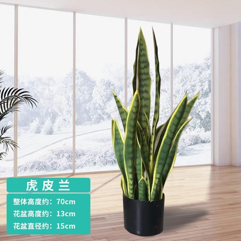 北欧风仿真绿植虎皮兰黄边盆栽室内客厅桌面装饰摆件仿生植物造景