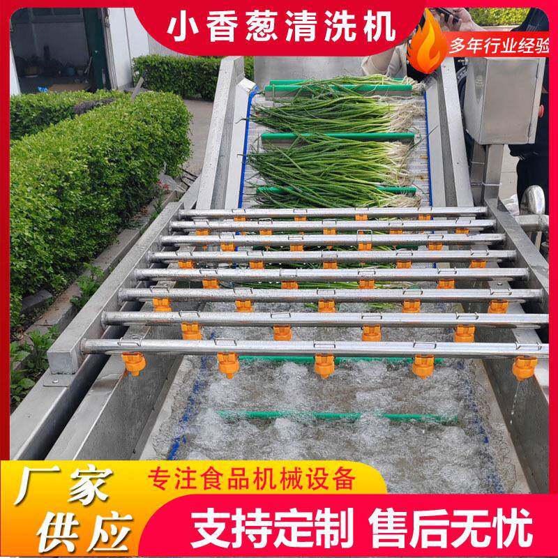 全自动商用果蔬气泡清洗机茄子鼓泡翻浪清洗机甜椒去杂气泡清洗机