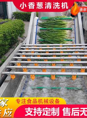 全自动商用果蔬气泡清洗机茄子鼓泡翻浪清洗机甜椒去杂气泡清洗机