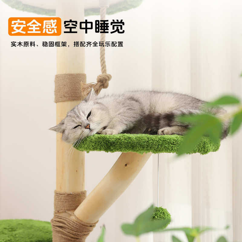 猫树一体实木猫爬架天然树叉磨爪窝一体式不占地剑麻猫咪跳台树洞,宠物/宠物食品及用品,猫爬架,淘宝优惠券,粉丝福利购,淘宝优惠卷