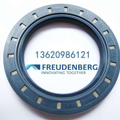 CFWBAU4SLX262-120-12/8德国SIMRIT科德宝进口骨架油封