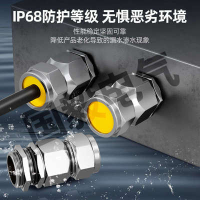 304/316不锈钢防爆铠装双密封接头不锈钢防爆格兰头M20/M25填料函