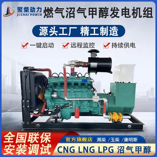 养殖场用50KW沼气发电机组380V三相电50千瓦CNG管道天然气发电机
