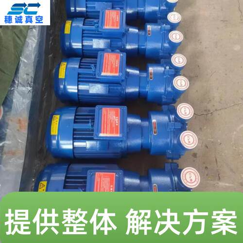 抽气稳定液环真空泵生产厂家 穗诚2BV2液环真空泵规格