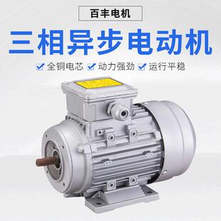 铝壳2极三相异步电动机YX3 2电动机380v0.75kw厂家直销电动机 801