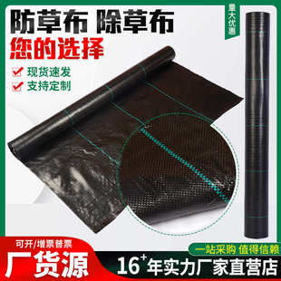 防草布农用除草布果园遮草布果树地膜园艺地布盖草布厂家批发