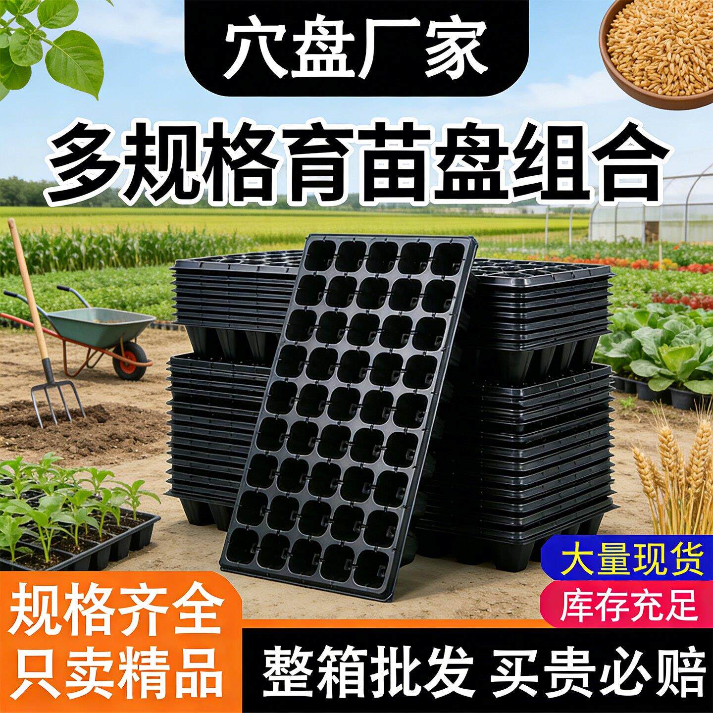 育苗盘育苗盆穴盘塑料杯多肉种植蔬菜育种专用盘托盘育苗盒