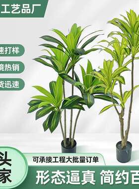 仿真绿色植物高端轻奢巴西木假植物装饰室内客厅仿生落地摆件盆栽