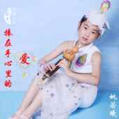 高档孔芦雀公主葫丝乐器专业演学c奏型gf降b调儿童小学生成人初专