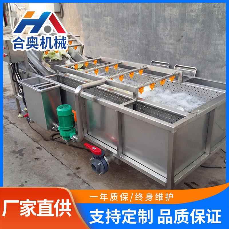 不锈钢去杂质洗菜机全自动柑橘洗果机大型多功能蔬菜气泡清洗机