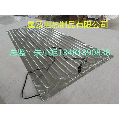 65cm*各种尺寸插头款铝箔保温片特种养殖爬虫保温用电热板热片
