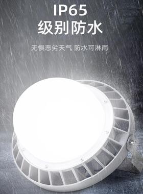 NFC9186LED三防灯仓库灯冷库专用免维护防爆灯发电站化工钢铁厂灯