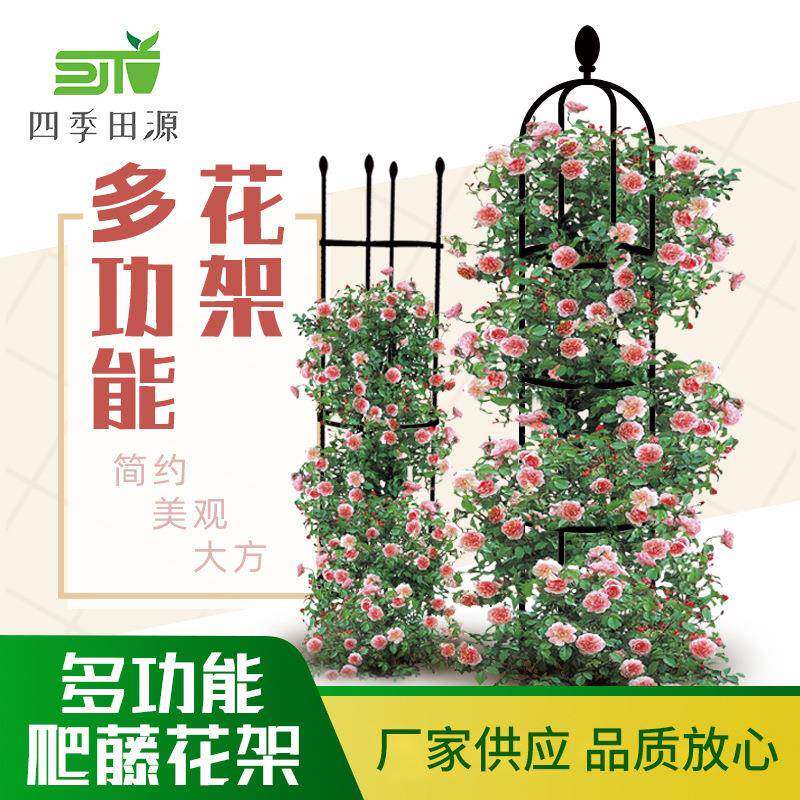 铁线莲爬藤花架藤本月季包塑支架花盆diy欧式植物攀爬架园艺