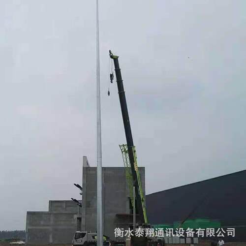 30米避针独立避结雷塔钢构热镀2156541锌架避雷针户雷外构不锈钢