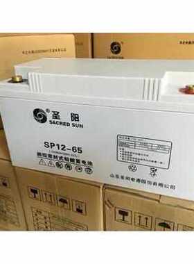 圣阳蓄电池SP-12V7AH17AH24AH38AH65A100A免维护UPS后备电源包邮
