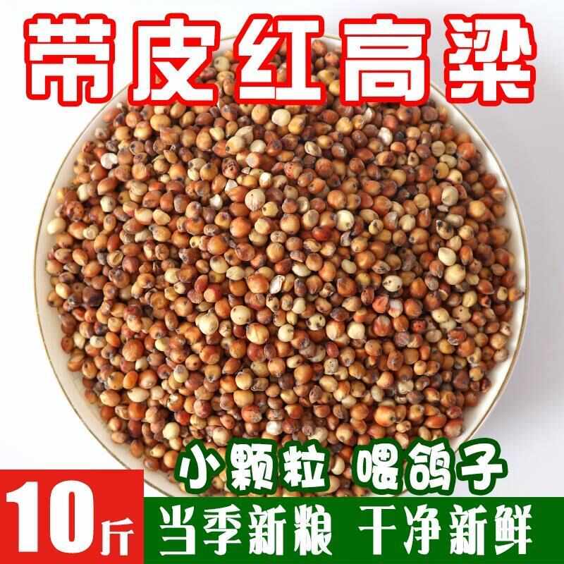 去壳带皮红高粱酿酒高粱酿酒原料酿醋喂鸽子饲料红高粱种10斤包邮