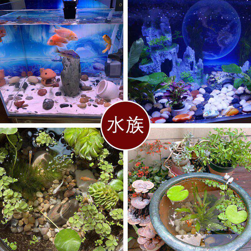 雨花石原石天然鹅卵石鱼缸造景铺底石头花盆装饰小石子铺地鹅软石