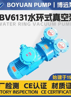 2BV6131防爆水环真空泵6.66m³/min化工矿山工业级隔爆型真空设备