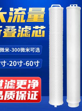 大通量折叠滤芯40寸精密保安过滤器派克工业大流量水处理派克颇尔