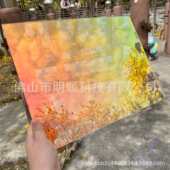 厂家彩色幻彩炫板婚庆彩定做亚克装 修板力玻璃板镭射有机 饰板装