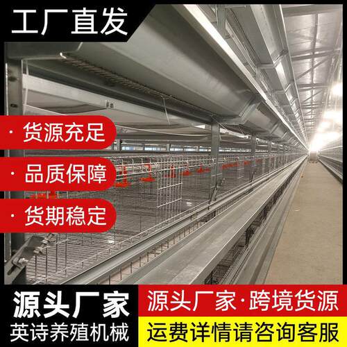 厂家直销层叠青年鸡笼设备自动化养殖设备可养鹌鹑