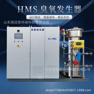 自来水污水处理500g大型工业臭氧发生器臭氧机设备厂家杀菌