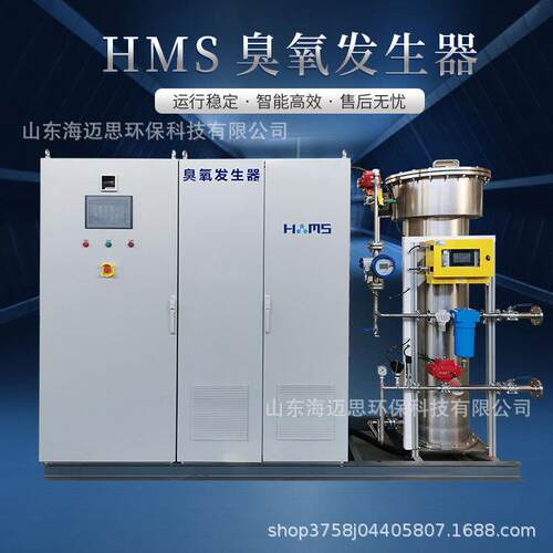 大型1kg-60kg臭氧发生器水处理工业用臭氧机水体氧化消毒设备厂家