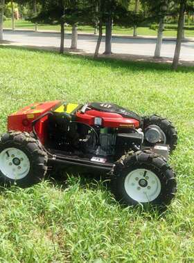 出口东南亚农用遥控割草机 果园自动除草机 小型家庭草坪修剪机