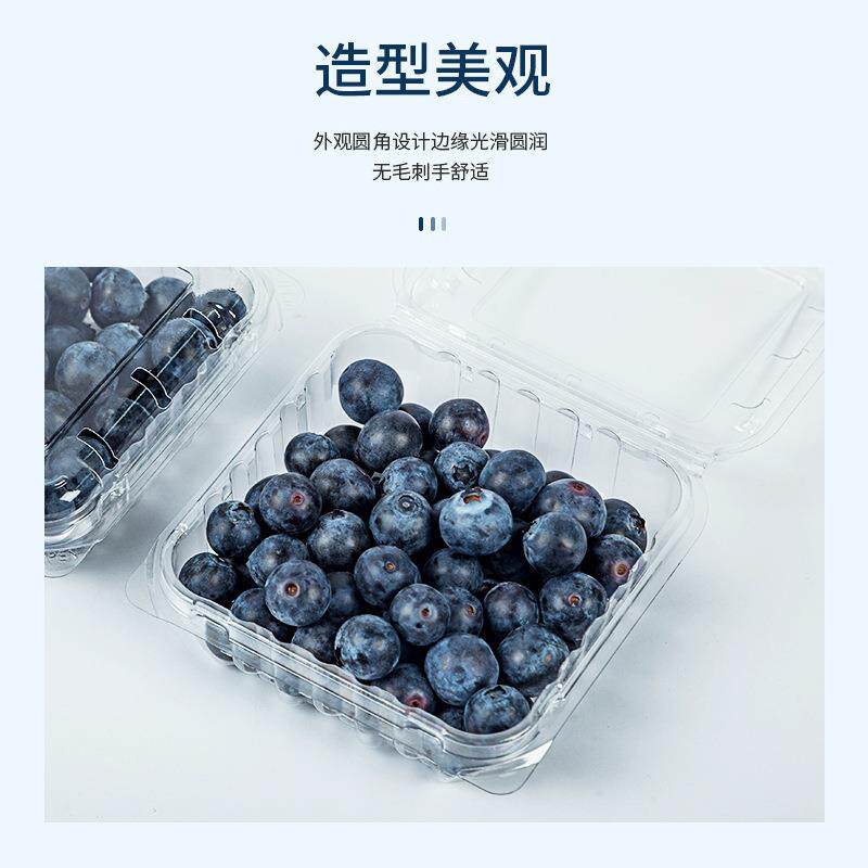 一次性水果盒子带盖透明塑料蓝莓盒125克包装盒一斤装水果包装盒