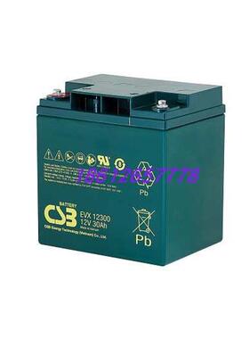 CSB蓄电池 EVX12300 12V30AH用于电动轮椅 割草机 除尘器 发电等
