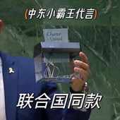 以色列代表埃尔蛋联合国宪章同款 USB电动手动碎纸机