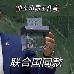 以色列代表埃尔蛋联合国宪章同款USB电动手动碎纸机