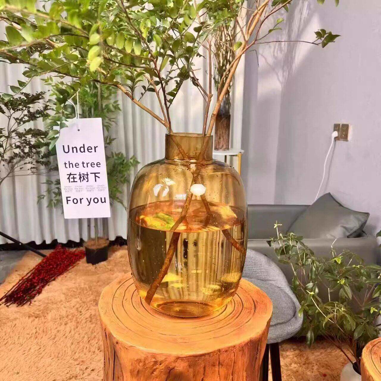 落地大花瓶简约网红高级感水培马醉木鲜花龟背南天竹玻璃水培花瓶