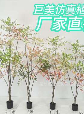 仿真绿植南天竹新款南天竹盆栽装饰造景仿生绿植客厅落地盆景