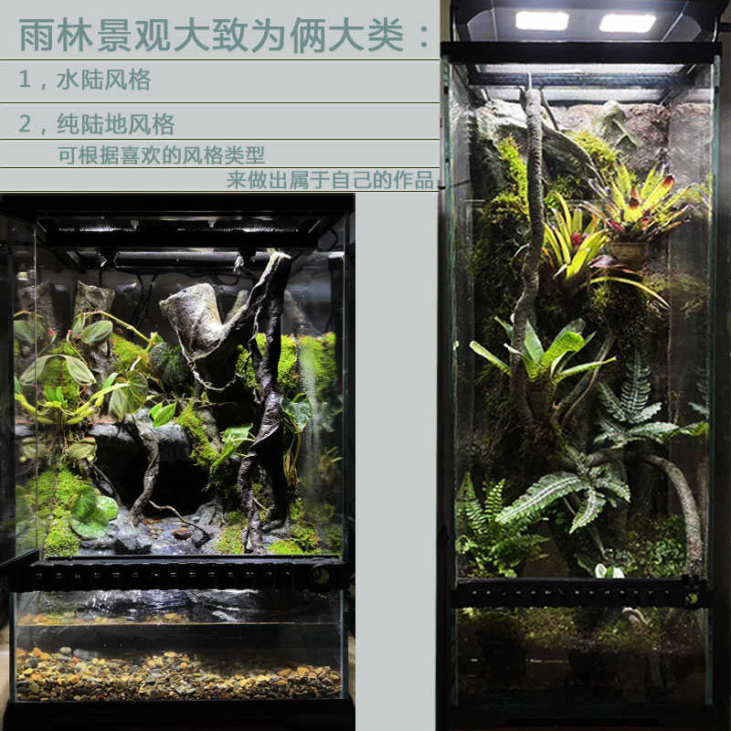 雨林缸全套设备套餐生态缸水陆缸热带雨林植物超白玻璃柜全套器材