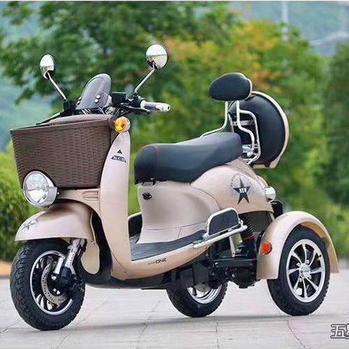 厂家直供新款成人电动三轮车老年休闲车女式代步车48V60V小龟王