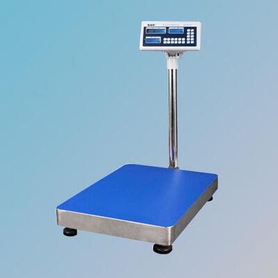 双杰G&G TJ-300KAY 300kg/20g计数台秤 数据预设自带电瓶台秤磅称