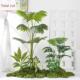 模拟绿化植物造景盆栽景观人造树楼梯下室内角落装 窗植物人 饰欧式