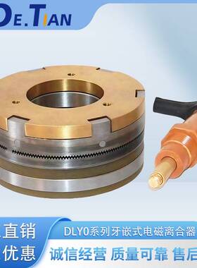 DL5-5C,DL磁M65-10A,DLM5DLM5-5C-1A湿式多片M式电离合器