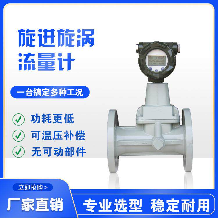 智能旋进旋涡流量计厂家防爆型抗震动煤气天然气气体旋涡流量计