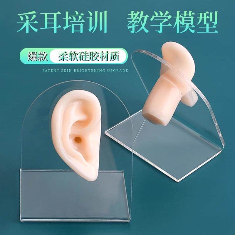 矽胶假耳朵彷真人耳膜模型展示教学培训长耳道采耳工具练习模具