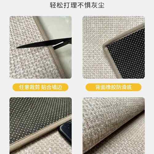 205入户门地垫客厅卧室地毯门麻垫洗2仿剑门口脚F97MJ89M垫免可擦