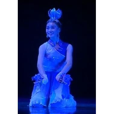 高档舞舞台演出服古典舞服装马兰/花装/民族蹈服/桃李